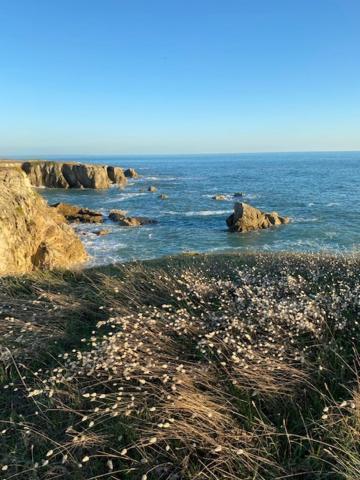 Studio Agreable 300M Cote Sauvage Le Pouliguen Eksteriør billede